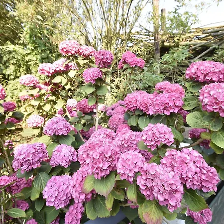 In Surroundings Nearby The Coast