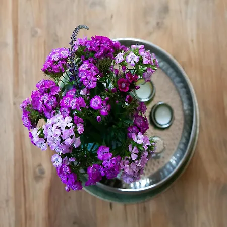 Holiday home In Surroundings Nearby The Coast Callantsoog