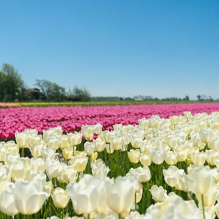 In Surroundings Nearby The Coast *