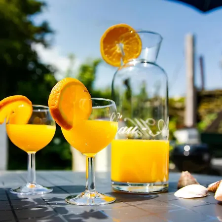 In Surroundings Nearby The Coast