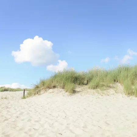 In Surroundings Nearby The Coast Callantsoog