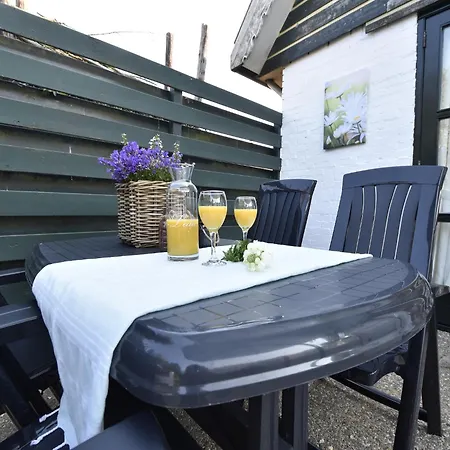 In Surroundings Nearby The Coast Callantsoog